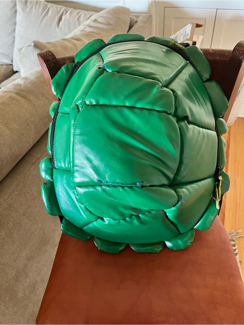 Green Turtle Shell Reptile Hide / Habitat Accessory